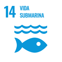 ODS 14